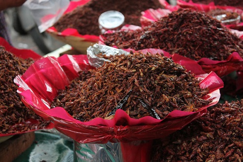 chapulines oaxaca