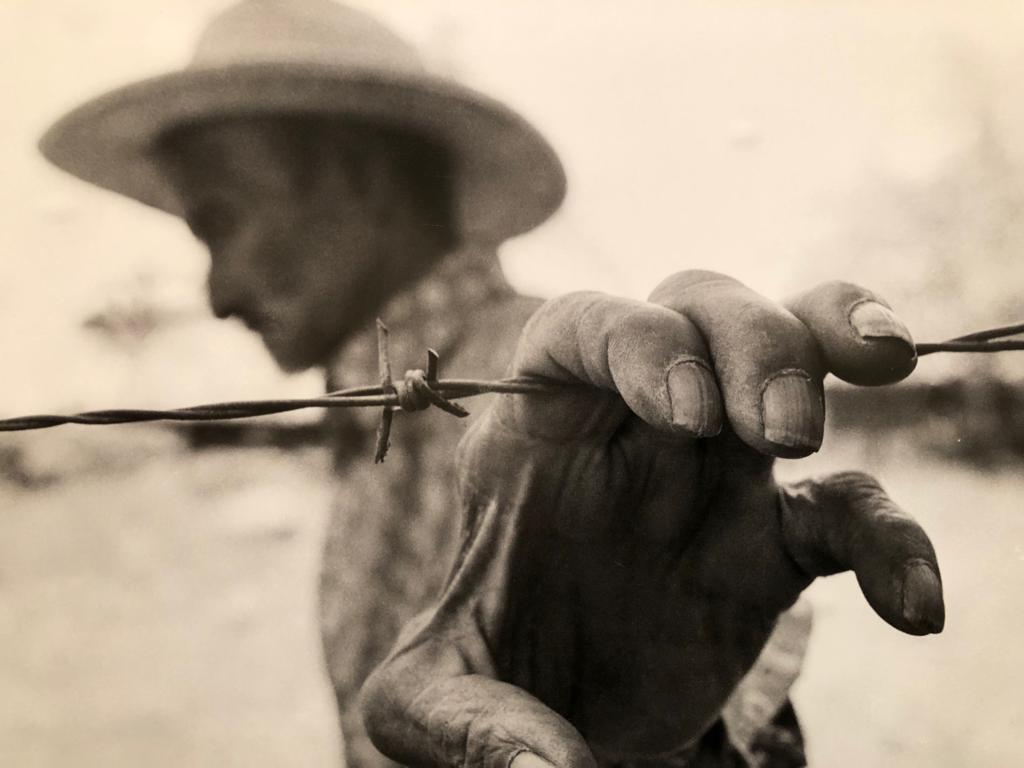 Migrante2