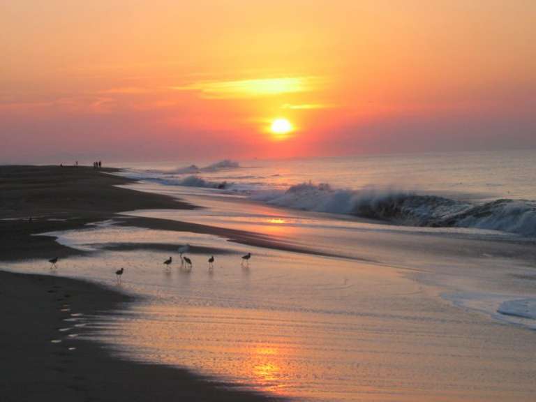 PLAYA8