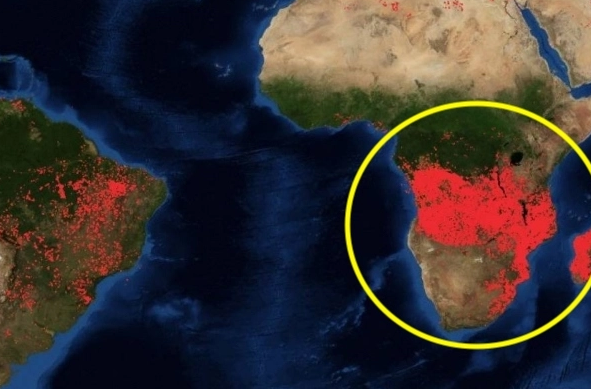 congo