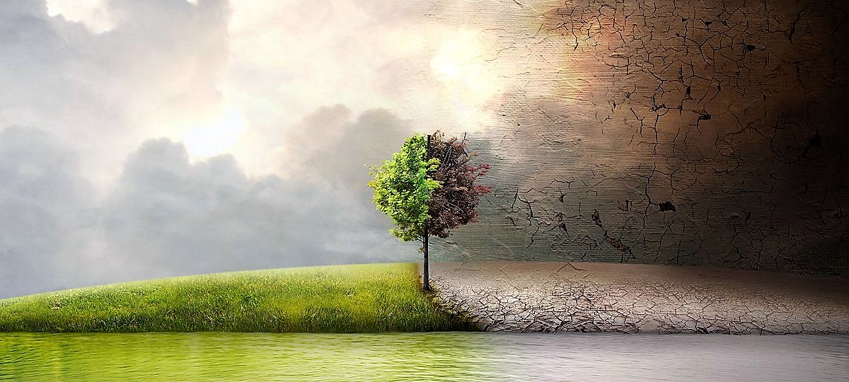 BEFORE THE FLOOD
