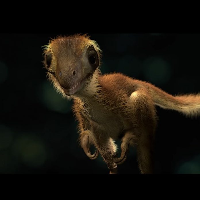 baby trex 696x696