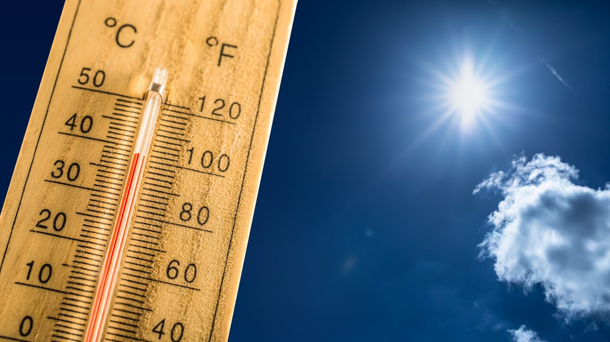Ocho muertes por ola de calor en Mexico