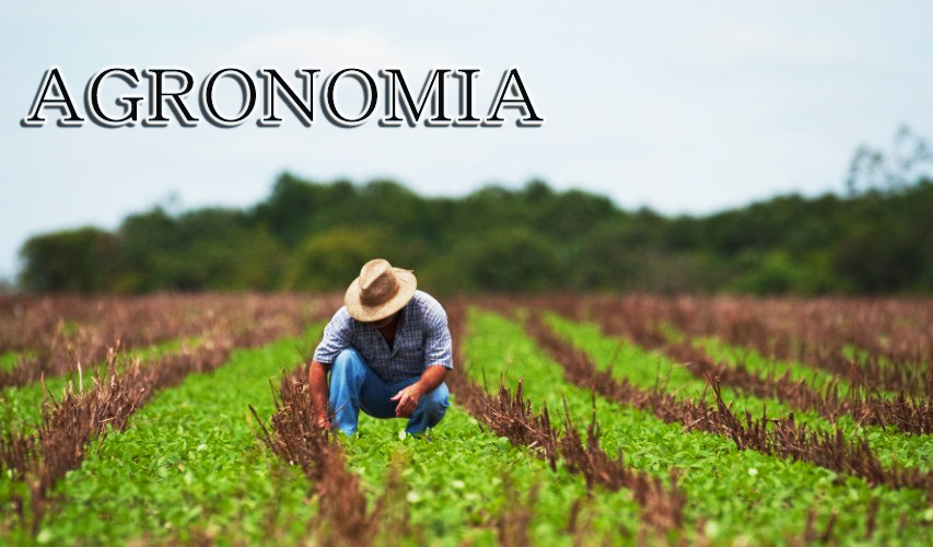 RMX Febrero Dia del Agronomo