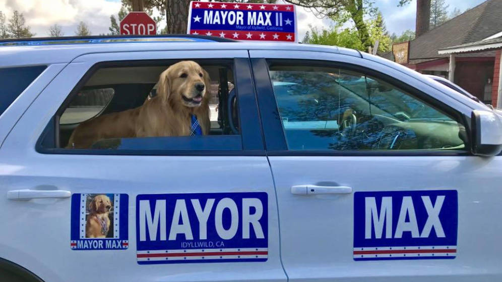 max