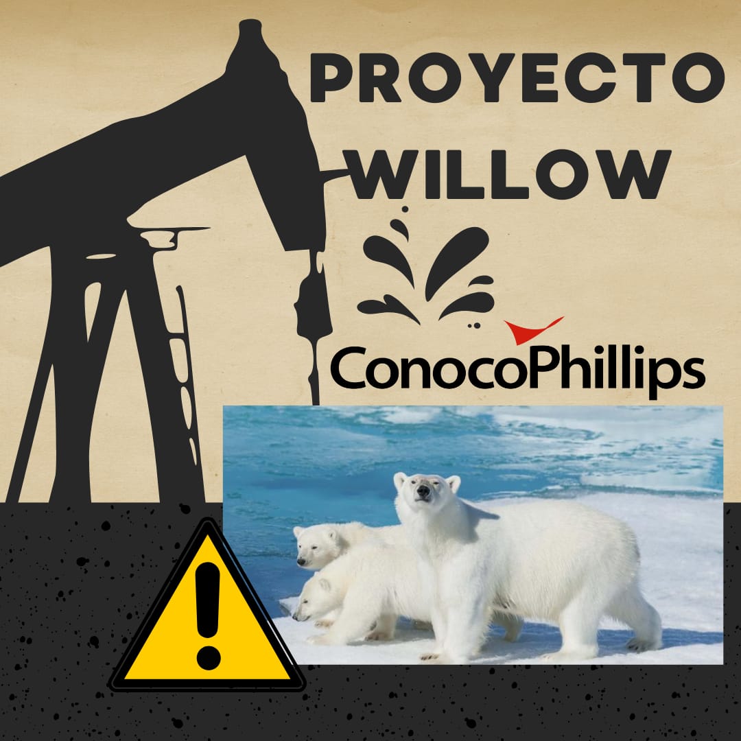 proyecto_Willow.jpg